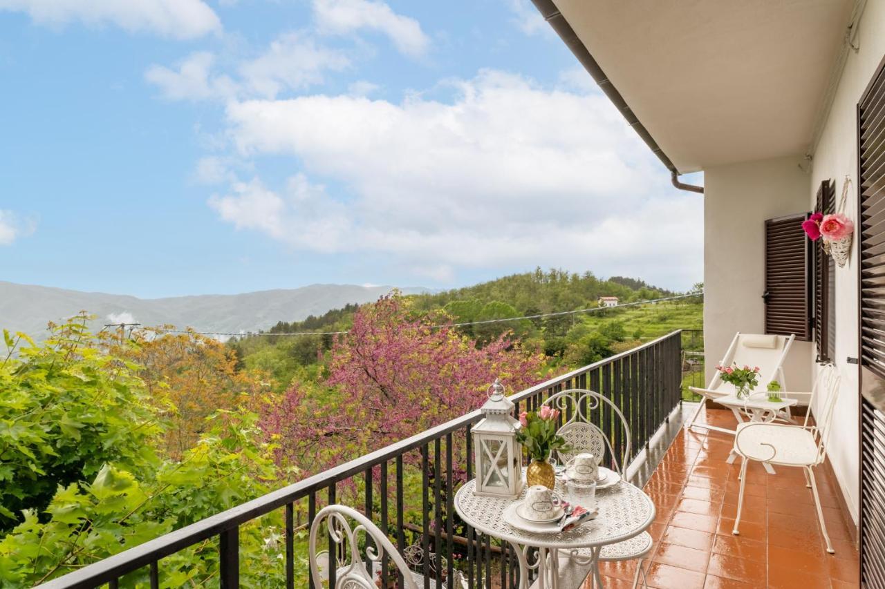 Apartmán Sassi Scritti - Acero Montano Montefegatesi Exteriér fotografie