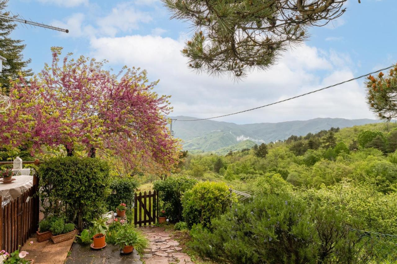 Apartmán Sassi Scritti - Acero Montano Montefegatesi Exteriér fotografie